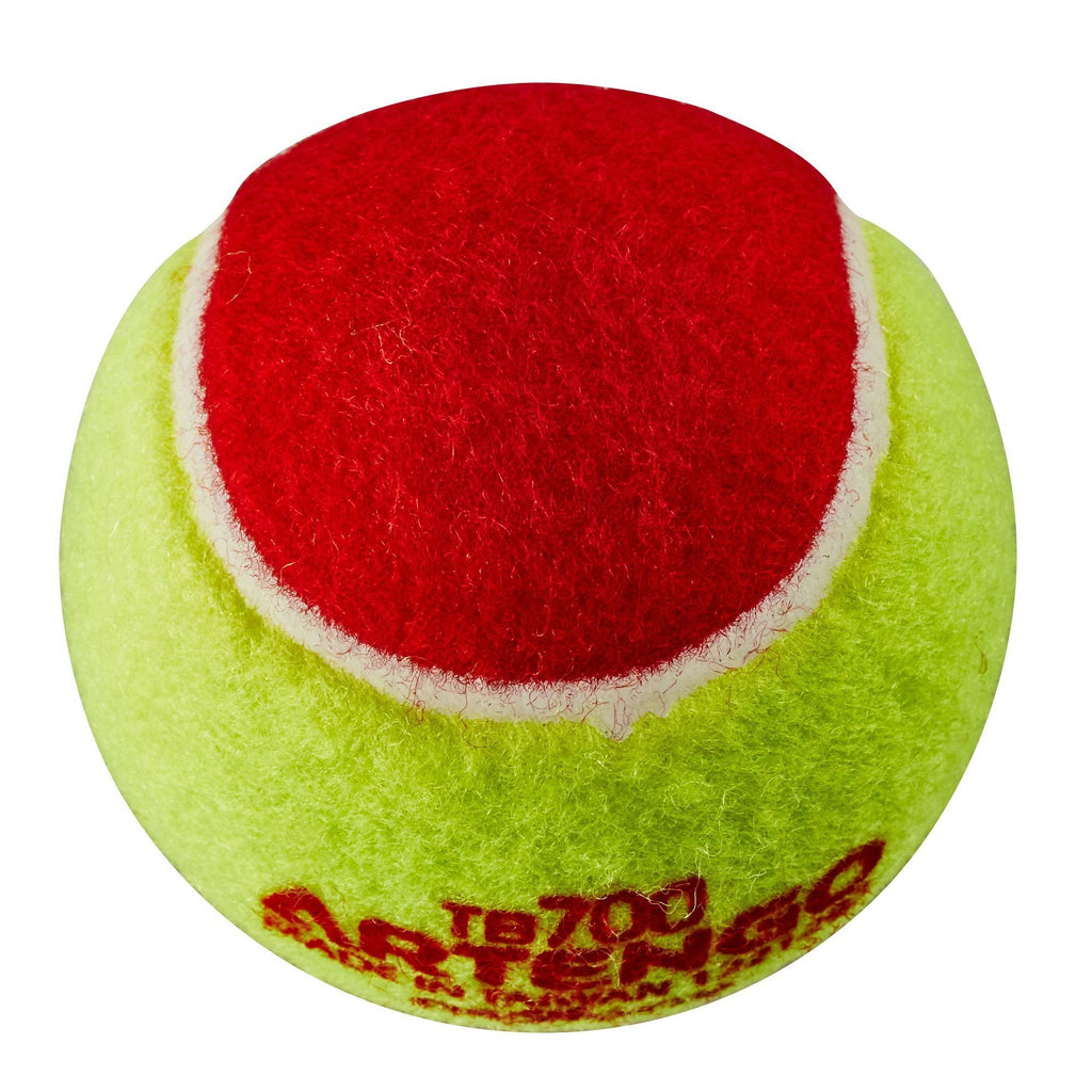 Tennis Ball TB700
